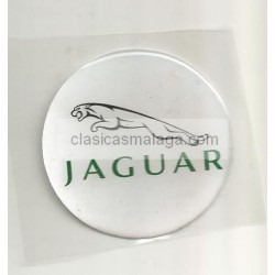 Adhesivo resina 50 mm Jaguar